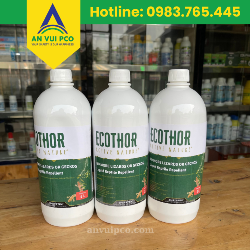 Ecothor đuổi thằn lằn